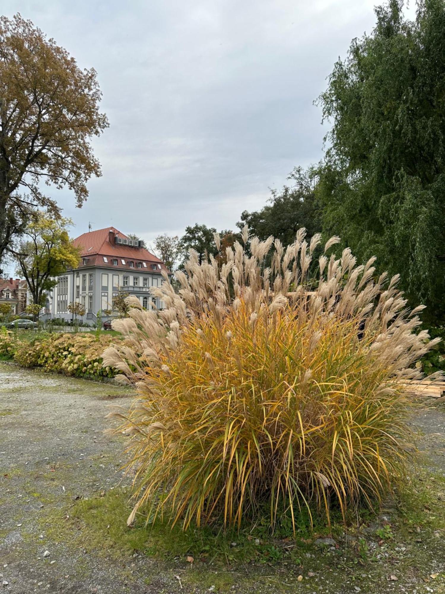 Hotel Willa Starosty Międzyrzecz Eksteriør billede